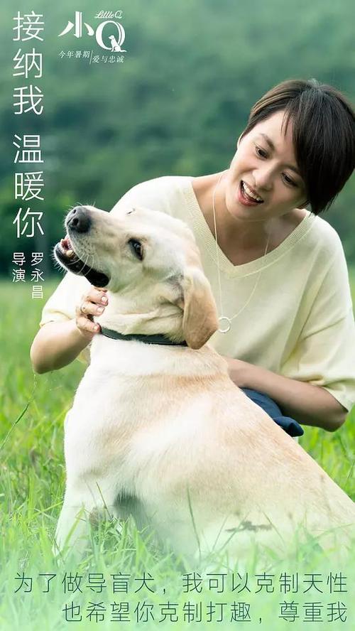 日本大使馆可以办理结婚证公证书吗